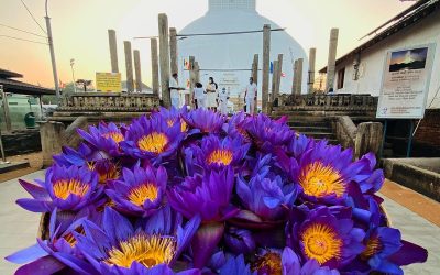 graphicstudio705-anuradhapura-6065428_1280